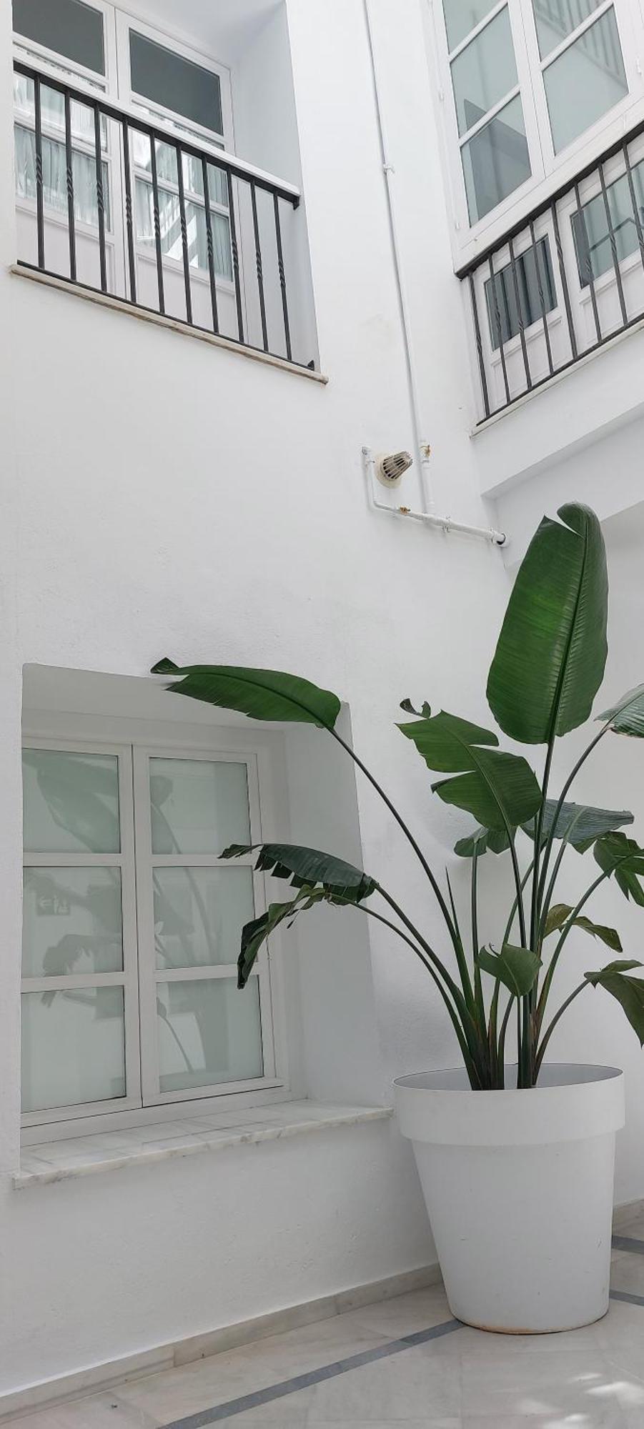 El 2 De Flamenco Bajob Apartment Кадис Екстериор снимка